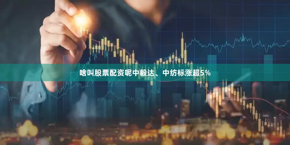 啥叫股票配资呢中毅达、中纺标涨超5%